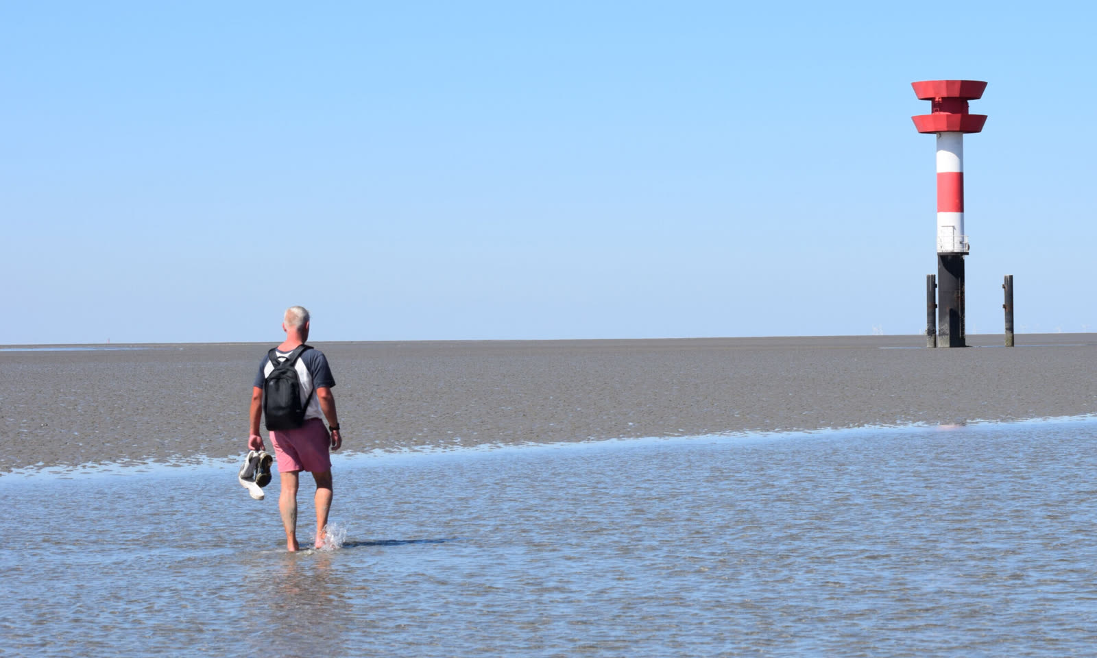 Wattwandern im Wattenmeer